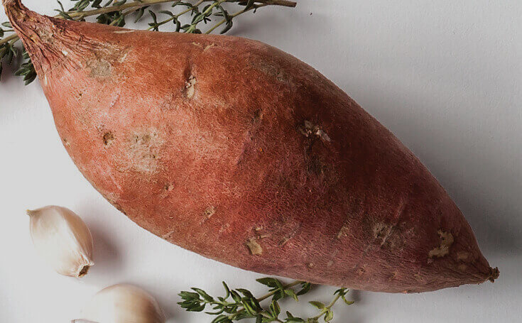 Sweet Potato