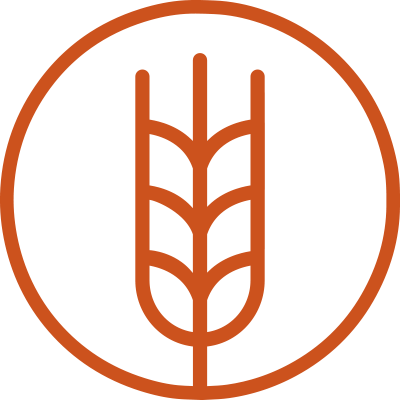 wheat